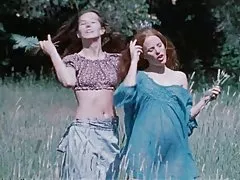 Βρώμικο δάσος